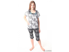 ������ �-31 240�.