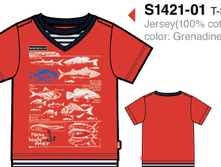S1421-01.png