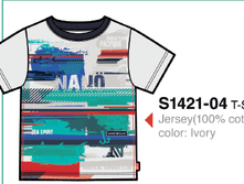 S1421-04.png