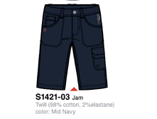 S1421-03.png