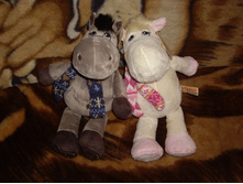 ������ � �������.JPG