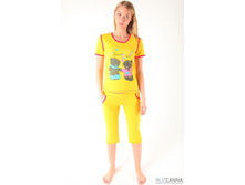 ������ ��-11 240�.