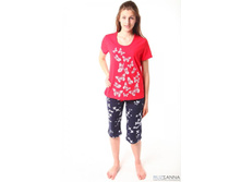 ������ ��-66 240�.