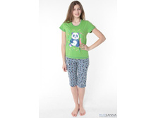 ������ ��-66 240�.