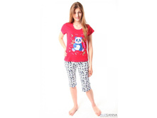 ������ ��-66 240�.