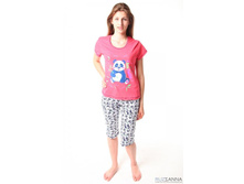 ������ ��-66 240�.