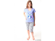 ������ ��-66 240�.