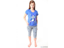 ������ ��-66 240�.