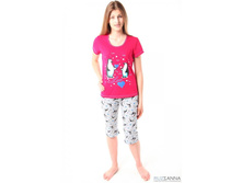 ������ ��-66 240�.