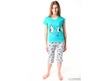 ������ ��-66 240�.