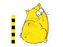 �������� � ��������� �� ������� ����, 70���