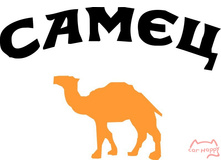 �������� �����, 99���.jpg