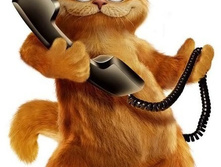 �������� �������-8, ���� 350���.jpg