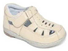 2502 - �������