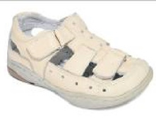 2511- �������