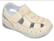 2516 - �������