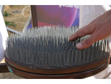 ���� 242.JPG