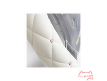 ������� �� ���� � �������� ��������, ����� ����, 640���.jpg