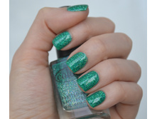 Color Club Holiday Splendor.JPG