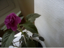 P01-07-14_19.57.jpg