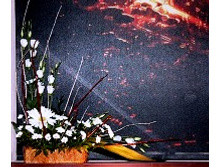 ���������� 014