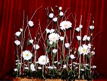 ���������� 016