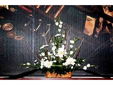 ���������� 017