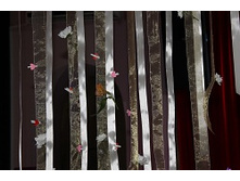 ���������� 018