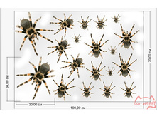 ����� ������� �����, 1000���.jpg