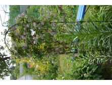 ��������� �������