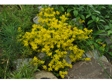 ������\\����� �����