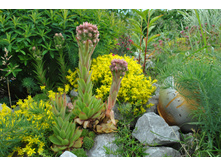 �������� ������