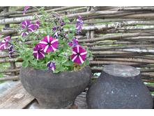 �������