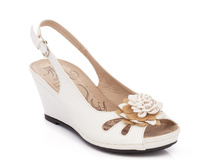 ������ 5496, 390 ������.jpg