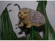 W07--S054 ������� ���� (������).jpg