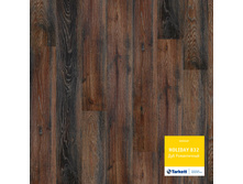 ��� ��M��������.jpg