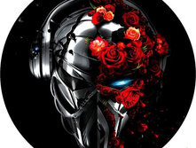 �������� �� �������� ������ -14, ���� 650���.jpg