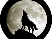 �������� �� �������� ������-9, ���� 650���.jpg