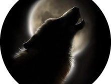 �������� �� �������� ������-12, ���� 650���.jpg