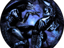 �������� �� �������� ������-17, ���� 650���.jpg