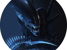 �������� �� �������� ������-19, ���� 650���.jpg