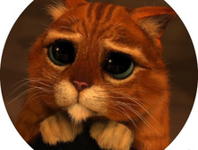 �������� �� �������� ������-27, ���� 650���.jpg