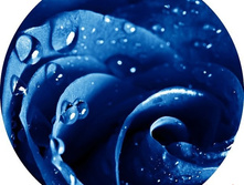 �������� �� �������� ������-29, ���� 650���.jpg