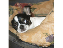 ���� 002.JPG