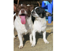 ���� 005.JPG