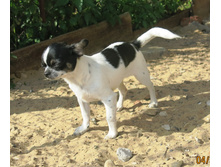 ���� 007.JPG