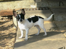 ���� 010.JPG