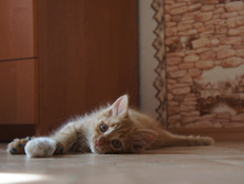 DSC04684.JPG
