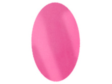 ��������� ����� ������� IRISK, 8 �� №25