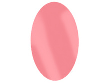 ��������� ����� ������� IRISK, 8 �� №23